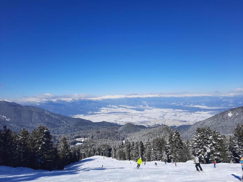 Apartments In Aspen Suites Банско Стая снимка